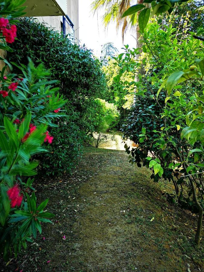 Plage La Salis 3 Chambres, Jardin - 3 Bedrooms Antibes Eksteriør billede
